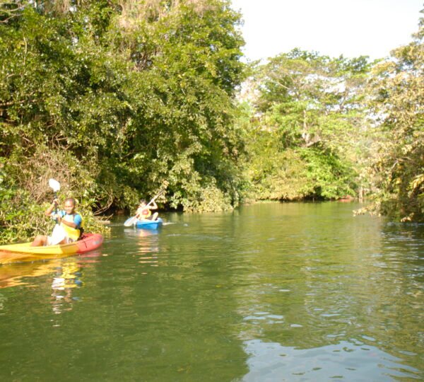 Kayak jungle river safari