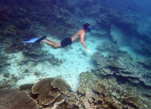 Pure Snorkeling