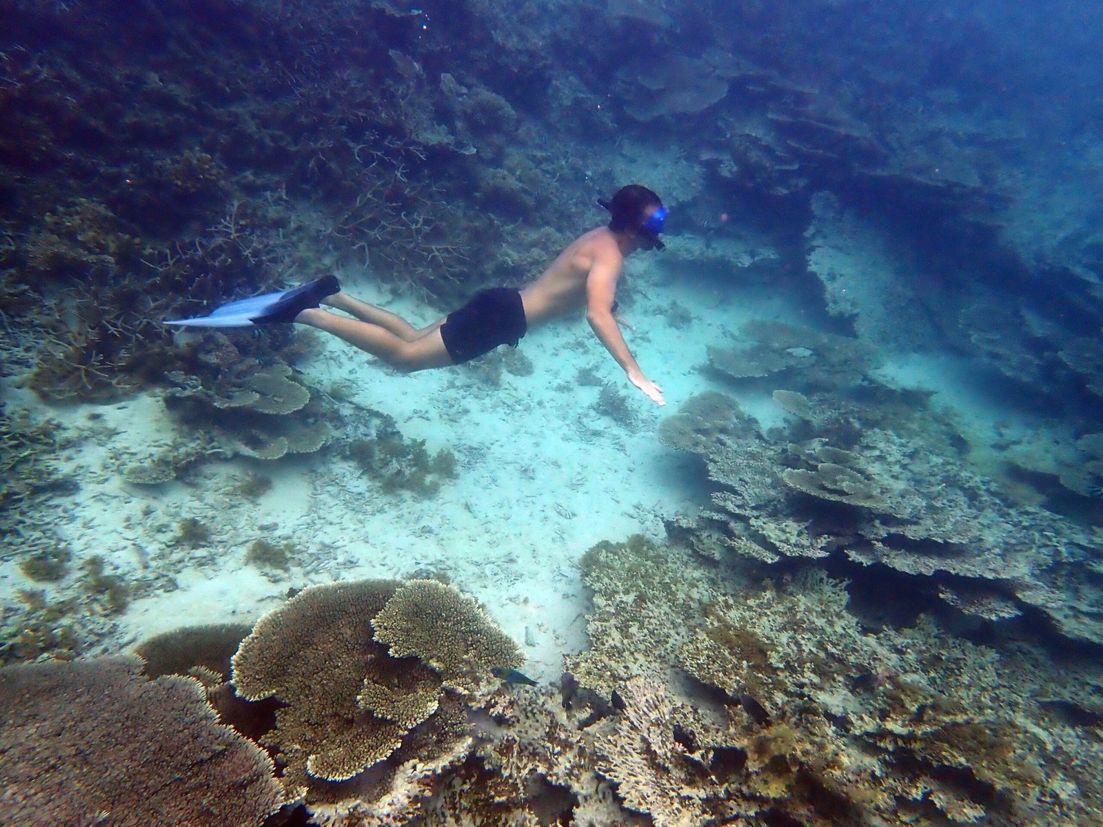 Repeat client, 4th time snorkeling with case nautique on our pure snorkeling adventure