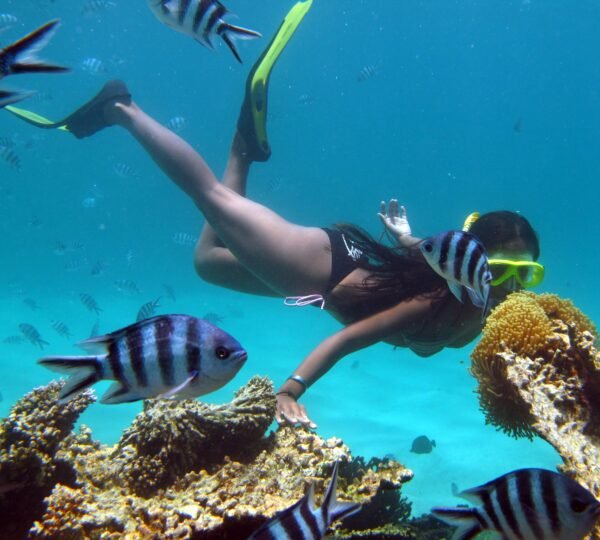 Snorkeling Tour 