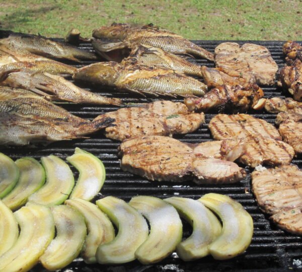 Speed Boat Excursion BBQ