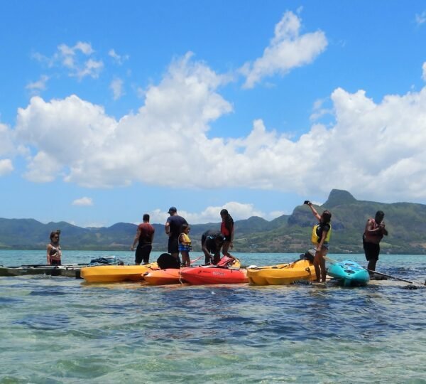 Kayak tour