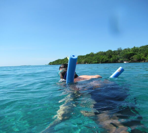 Ile aux Aigrettes