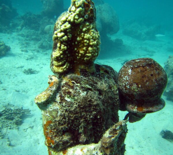 Snorkeling Mahebourg bay 