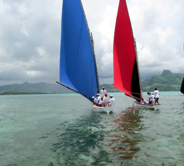 Traditional Regatta