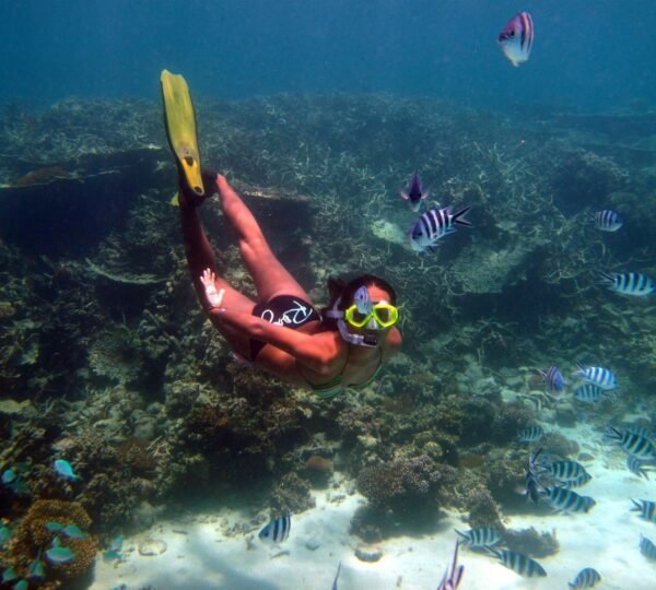 Snorkeling Mahebourg Bay 