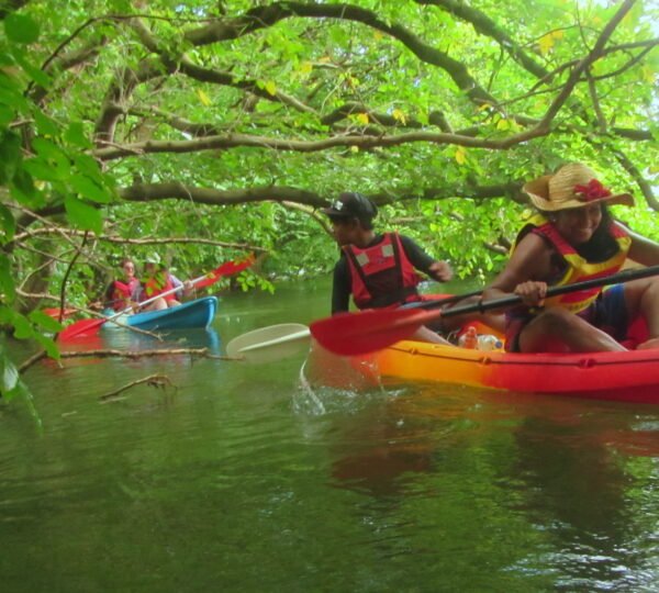 Kayak Jungle Safari Mahebourg