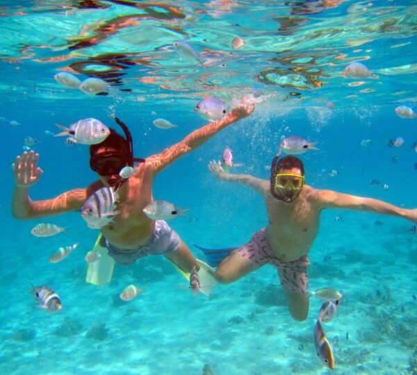 Snorkeling Tour Mauritius