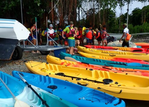 Kayak Rental