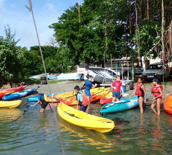 Kayak Mangrove Discovery