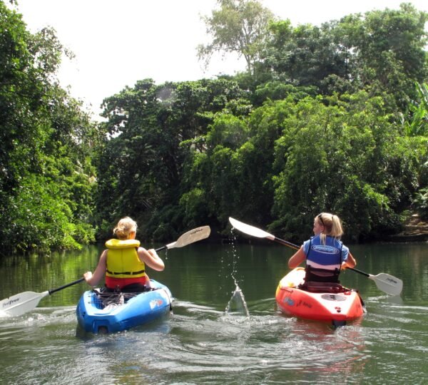 Kayak Jungle Safari Mahebourg